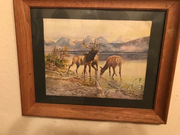 Sale Picture