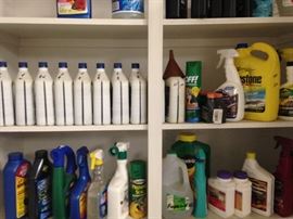 Needed car and gardening supplies