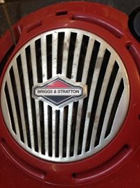 Briggs & Stratton mower