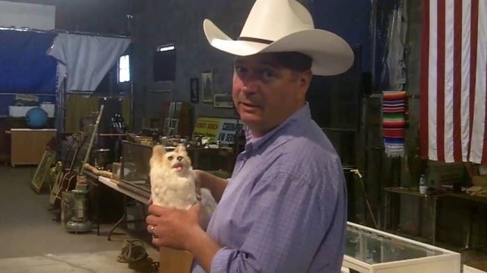 cowboy hat and puppy