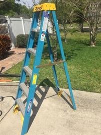 Werner 6' Ladder https://ctbids.com/#!/description/share/119204
