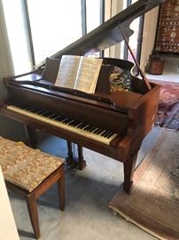 Grand piano 1902 Sohmer grand (according to serial number)  Bought in 1982 and our three sons all had piano lessons. There is a Christmas candle scorch on it, and the C8 key mechanism needs repair.  All original keyes.  Hasn’t been tuned in years.