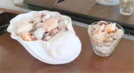 SEA SHELL COLLECTION