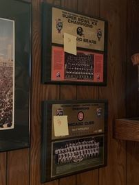 cubs and bears plaques 