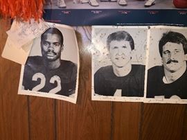 Signed bears photos