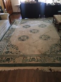 Large area rug with damage- priced accordingly