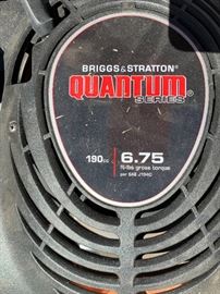 Briggs & Stratton Quantum Series 6.75 190cc Sensation Lawnmower	