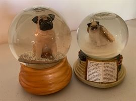 More Pugs, they are everywhere!