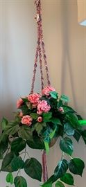 Macrame Plant Holder w/ Plant	 