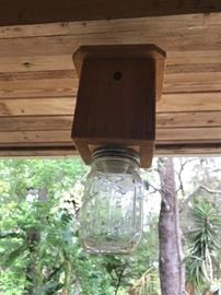 Carpenter Bee catcher ( hmmmmm) 