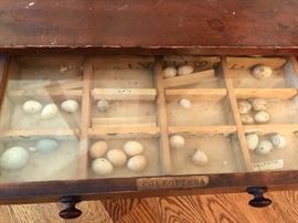 ....more bird eggs in the cabinet