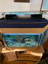 40”L X 16”W X 28” T AQUARIUM