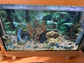 40”L X 16”W X 28” T AQUARIUM