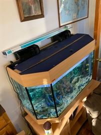 40”L X 16”W X 28” T AQUARIUM