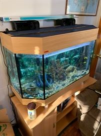 40”L X 16”W X 28” T AQUARIUM