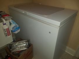 Chest deep freezer