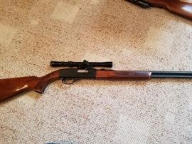 Winchester Model 190 .22 Rifle with Scope