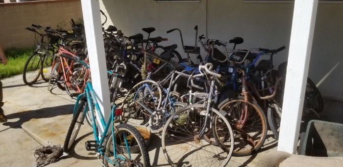 A bicycle collection of all shapes and sizes...most need some work. 