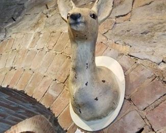 paper mache deer head