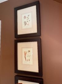 Set of 3 Coral Prints by Soicher-Marin from Frank Patton Interiors