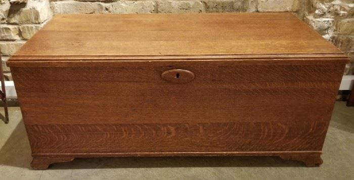 Oak Trunk