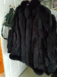 One of several furs