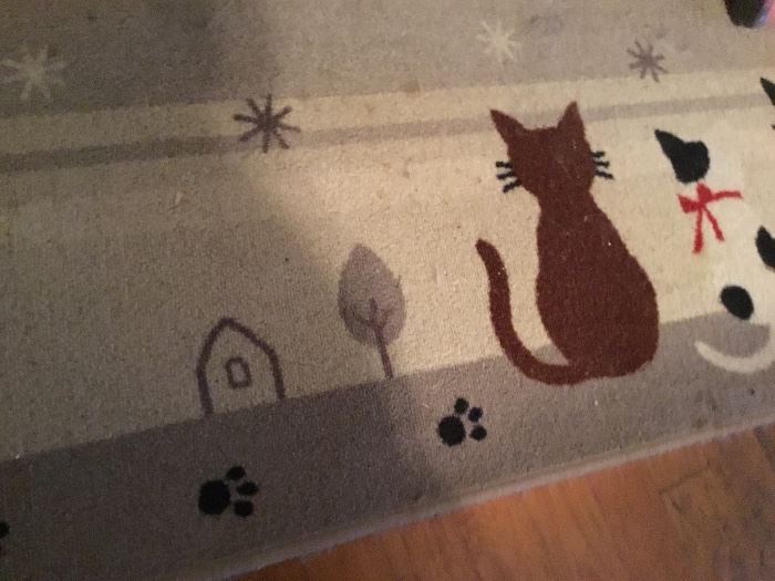 Cat rug