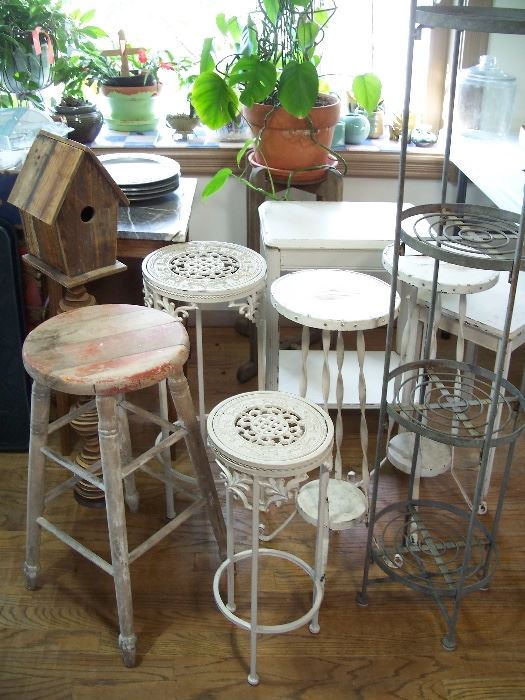 Dozens of vintage and antique plant stands