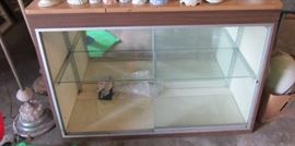 Small Display Case