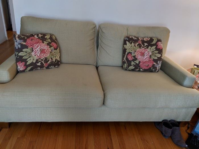 Couch sage green with pillows