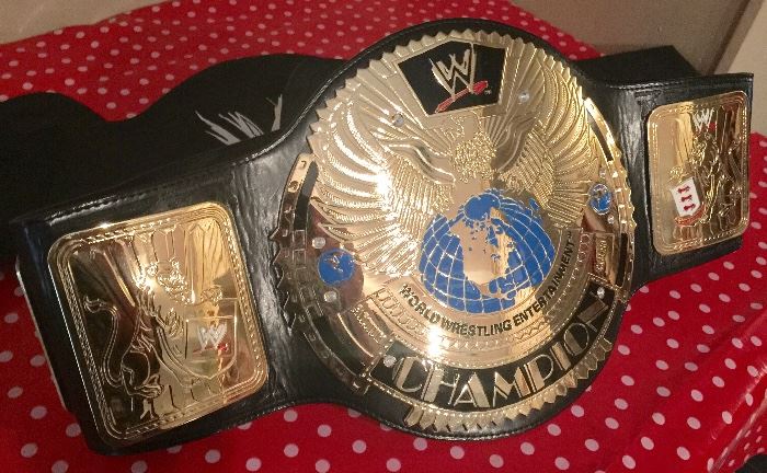 Wrestling Champion belt. Big and heavy and comes with storage bag. 