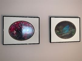 bird photos from Chicago artist