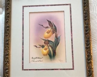 Russell Cobane “Yellow Lady’s Slippers” Limited Edition Print