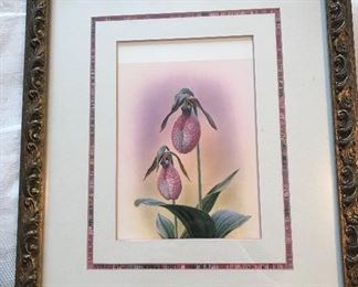 Russell Cobane “Pink Lady’s Slippers” Limited Edition Print