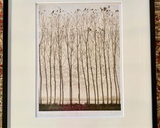 Photo by Dominico Foschi, 1962 (Part of LACMA Choices)