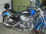 2004 HARLEY DAVIDSON CUSTOM SPORSTER