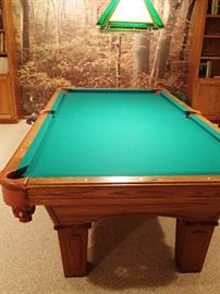 OLHAUSEN - THE BEST IN BILLIARD - ACCU FAST CUSHION