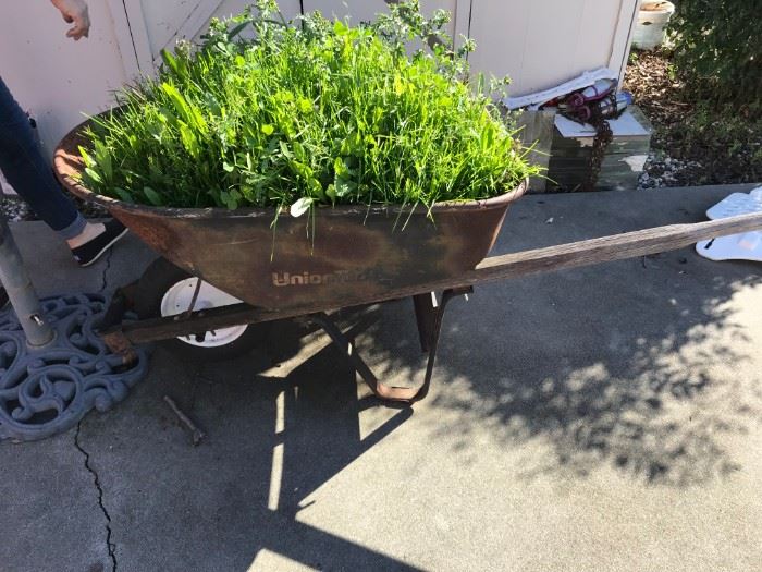 Vintage Wheelbarrow for plants