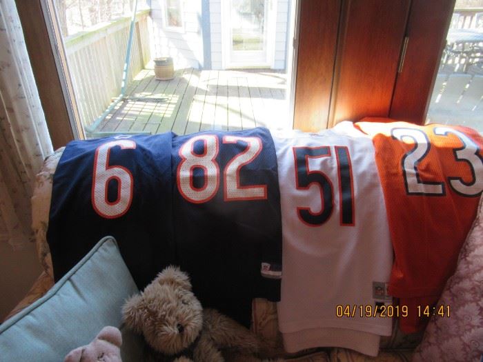 JERSEYS BEARS AND LIONS 