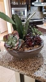 arificial succulents