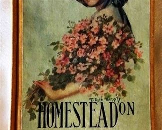 Antique Book: "Homestead on the Hillside" by Mary J. Holmes with Earl Christy Cover Artwork