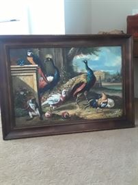 Barnyard birds featuring exotic pea fowl