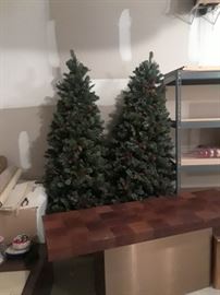 Pair of lighted trees.