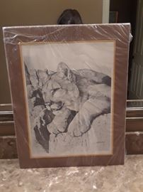 Mountain lion print