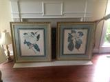 Magnolia Prints