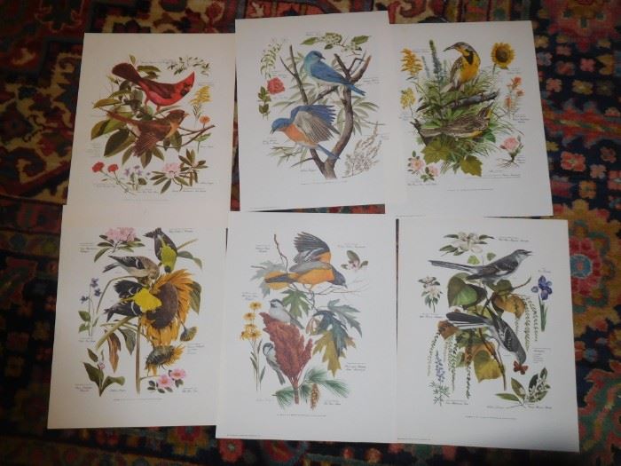 Unframed prints