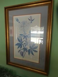 Framed Audubon