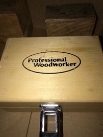 PROFESSIONAL WOODWORKER BIT SET