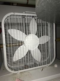 FAN