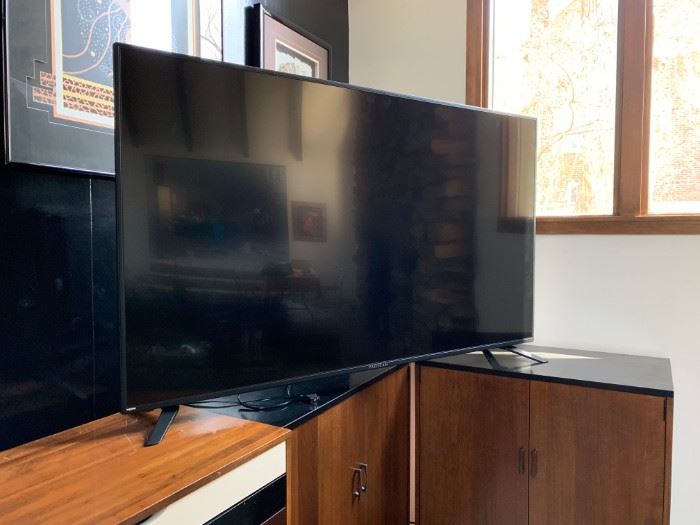 Large Plasma TV